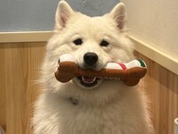 4/1～≪土日祝≫通常チケット（50分）