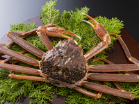 [Spring/Summer Course] Crab Season Course