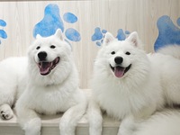 From April 1st: Weekdays - Regular Ticket (50 minutes)