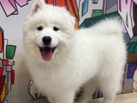 4/1～≪土日祝≫通常チケット（50分）