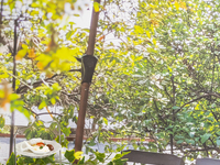 SEASONAL アフターヌーンティーセット 2026.4月～6月 “MELLOW MOOD”