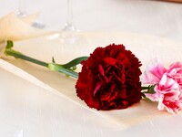 母の日コースプラン　※ランチ限定※