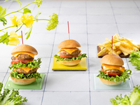 4.5.6月/平日ランチビュッフェ「スプリング＆アーリーサマーフェア」（90分制）