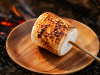 One Mega Marshmallow
