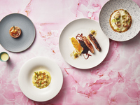 【春メニュー・ディナー】【おまかせカウンター限定コース　全5品】旬の食材でダイニング体験を満喫