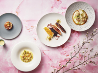 【Spring Menu ★ Lunch】Prefix 5 Course with Appetizer, Pasta, Two Main Dishes and Dessert