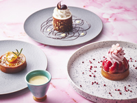 【春メニュー・ランチ】【おまかせカウンター限定コース　全4品】旬の食材でダイニング体験を満喫