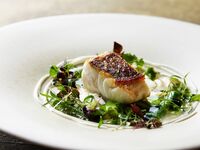 【早期予約限定 15% OFF】ランチメニュー「Platino」10/1～10/31来店、平日限定