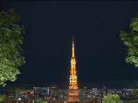 【Tower view guaranteed】Kyushu 7-course dinner with a glass of champagne