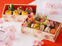 〈テイクアウト限定〉春の花弁当