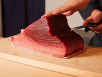 【午餐】推荐给国际游客！价格实惠，包含美味的寿司和精致的金枪鱼碎，还赠送纪念品！