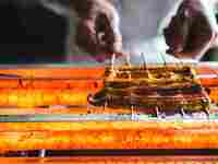 4/17～5/3　オンライン予約限定10％割引★ディナー【店内飲食】春の土用の期間限定　うなぎづくし御膳　