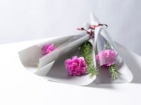 【お花ギフト】カーネーション1輪