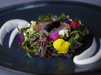 Shinshu salmon and horse meat tartare with Azumino caviar and the aroma of the earth