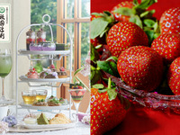 【土日祝：苺狩り付🍓】◇マリアージュフレール社紅茶1ポット◇ 抹茶と桜のアフタヌーンティ with 祇園辻利＆不揃いいちごの取り放題付！