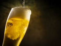 Beer Garden 2026 (Adults)