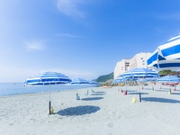 【7/12～8/31限定】ビーチリゾートを満喫！日帰り海水浴＆グルメディナープラン（シニア75才～）