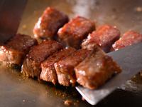 ◇お子さま専用／GW限定価格◇ディナー鉄板焼コース＜12歳以下限定＞