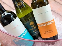 【ディナー｜プレミアム飲み放題付き】YEBRAスタンダードパーティーコース《厳選ワイン＆スパークリングを”ボトル提供”で愉しむ特別プラン》