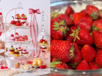 祝25周年🍓今が旬のいちごが食べ放題！🍓【土日祝】いちごとチェリーのアフタヌーンティー