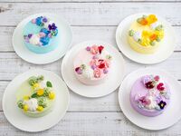 【ホール席】母の日ディナーコース～Merci Maman～