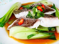 【フリードリンク付き】初夏宴会プラン「カムイ～壱～」