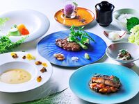 OUMI Course