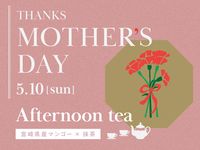 [Mother's Day Limited Afternoon Tea] Includes a single carnation, a celebratory drink, and a message.