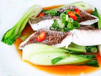 【フードのみ】初夏宴会プラン「カムイ～壱～」