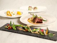 [Early Bird Discount - Limited Time Offer for Golden Week] Toujours