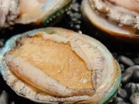 Upgrade your chef's choice course + fish dish to "Domestic Ezo Abalone"