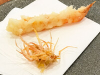 〈昼〉平日限定ランチコース　（2026年５月～平日限定ランチコースをご希望の方はこちらからご予約をお願いいたします。）　　　