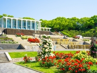 須磨離宮「王侯貴族のバラ園」入園券＋スペシャルローズランチ　