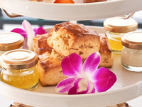 열대 애프터눈 티 (잔 샴페인 포함) <점내석>