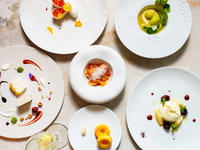 Cheese Professional Course