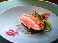 【ディナー】《5/14～7/2期間限定》初夏のフレンチ特別コース（7品）《乾杯ドリンクプレゼント》