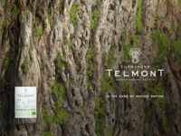 [Guitar performance only on Thursdays and Fridays♬] Free-flowing Telmont Champagne Brut x Chinese Afternoon Tea