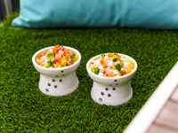《オプション》DOG DELI BOWL