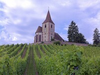 【イベント】トリンバック ワインメーカーズディナー〈事前決済〉