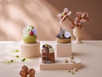 季節のスイーツアソート3種【5月 ピスタチオ×ナッツ  スイーツ】