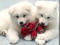 ≪Golden Week Period≫ Regular Ticket (50 minutes)