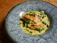 Seasonal Special Course (8 dishes) 