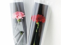 ★Recommended for Mother's Day★ [Weekends & Public Holidays] Strawberry Afternoon Tea (Includes 1 Carnation)