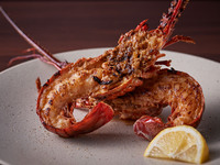 [Spiny Lobster x All-You-Can-Drink]