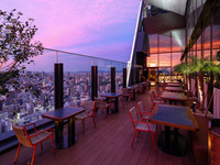 Appetizer + Free Flow Plan