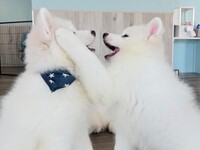 ≪ゴールデンウイーク期間≫通常チケット（50分）