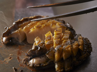 【벚꽃】×《온라인 예약 한정・봄》스테이크 25% 증량 페어