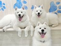 ≪ゴールデンウィーク期間≫通常チケット（50分）