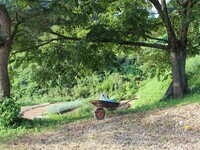 【月・火・水　ディナー・宿泊】農体験コースプラン　５/２９(金)~８/3０(日)　8/14、8/15、8/16は除く