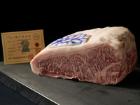 Special Kaiseki Course Featuring the Aroma of Wagyu Beef – Enjoy the finest Kuroge Wagyu beef to the fullest.